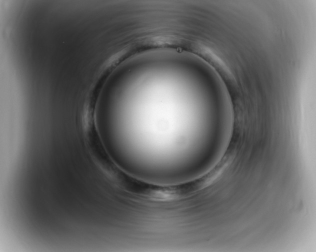 X0000099950164200805231328