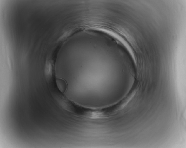 X0000099950165200805231328