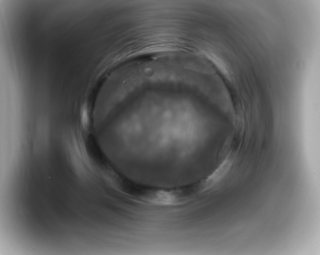 X0000099950166200805231328