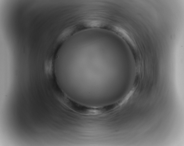 X0000099950167200805231328