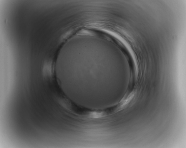 X0000099950168200805231328