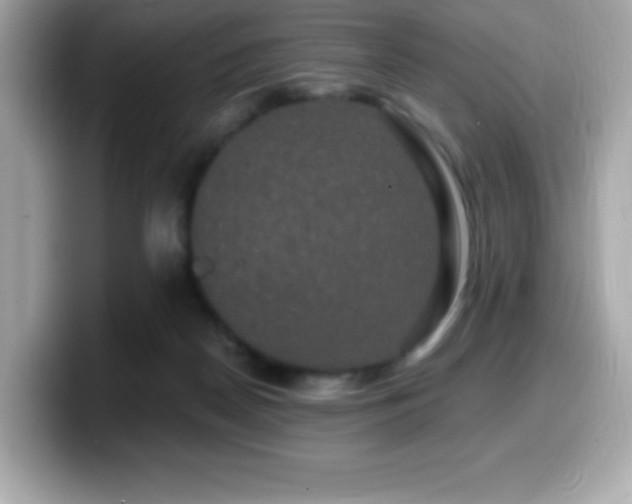X0000099950170200805231328