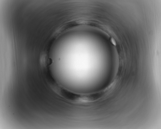 X0000099950171200805231328