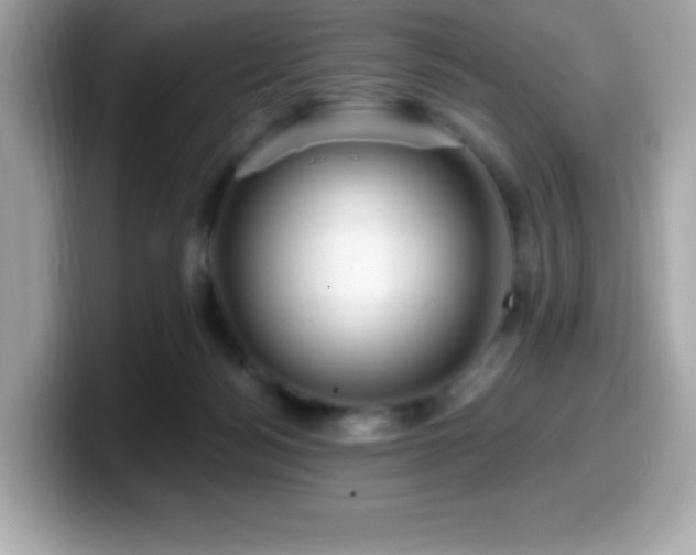 X0000099950172200805231328