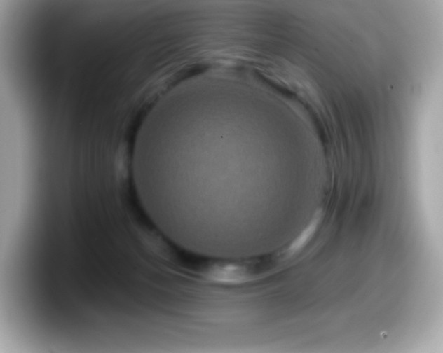 X0000099950174200805231328