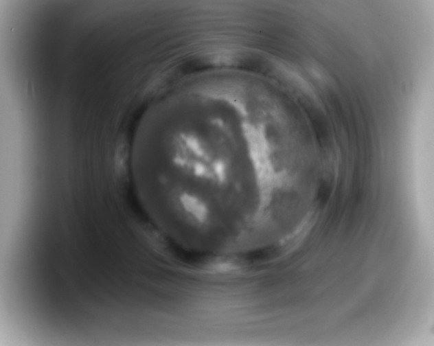X0000099950175200805231329
