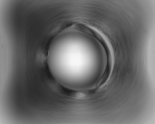 X0000099950176200805231329