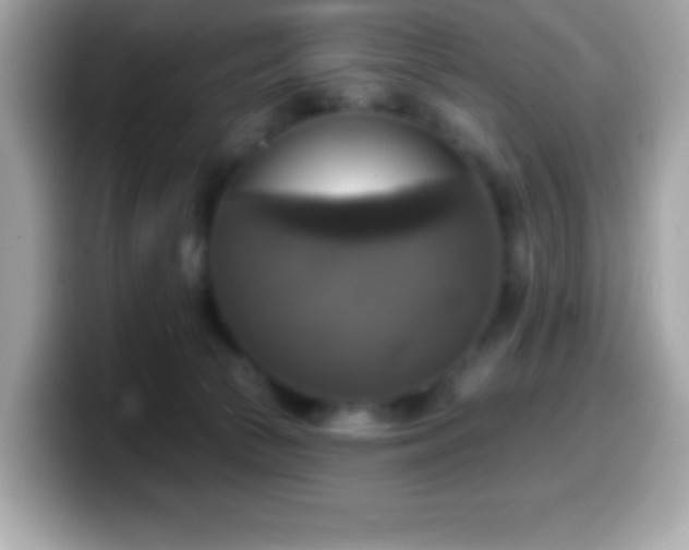 X0000099950177200805231329