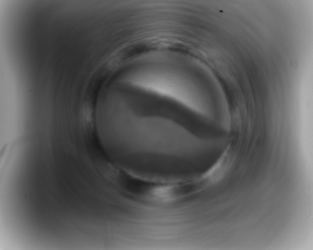 X0000099950178200805231329