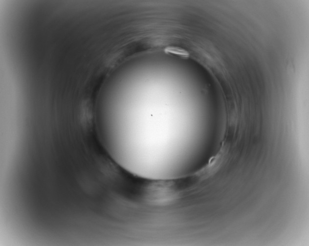 X0000099950179200805231329