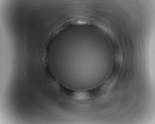 X0000099950181200805231329