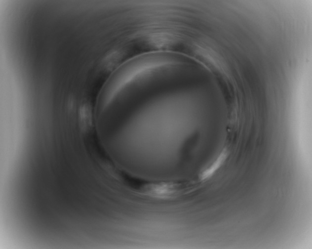 X0000099950182200805231329