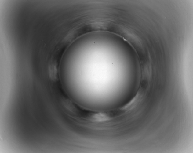 X0000099950183200805231329