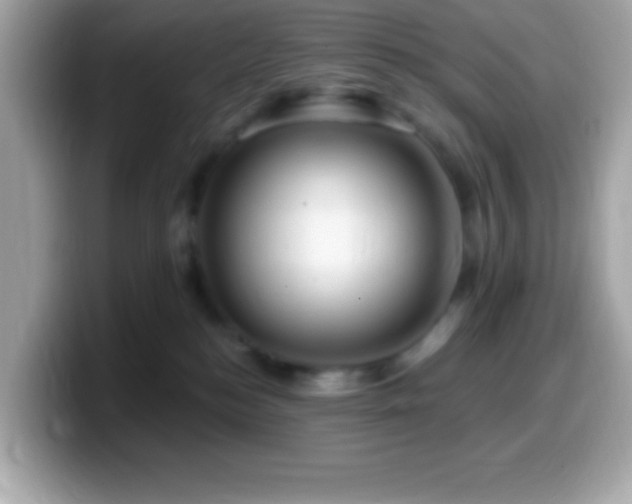 X0000099950184200805231329