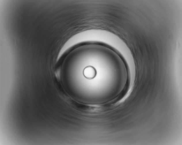 X0000099950186200805231329