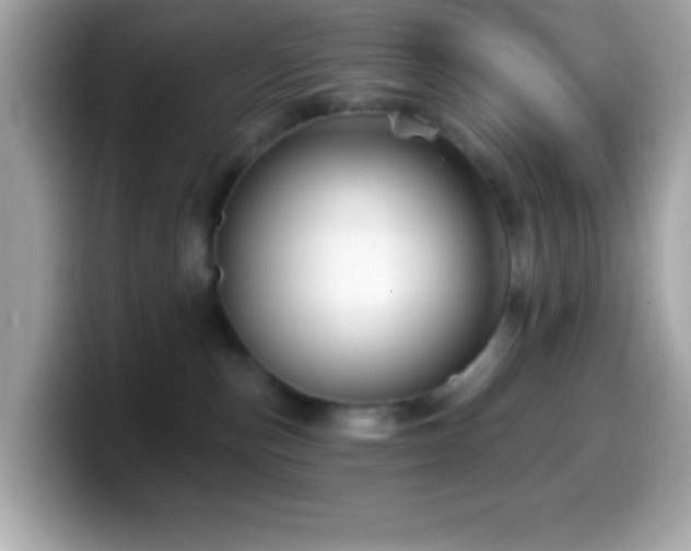 X0000099950187200805231329