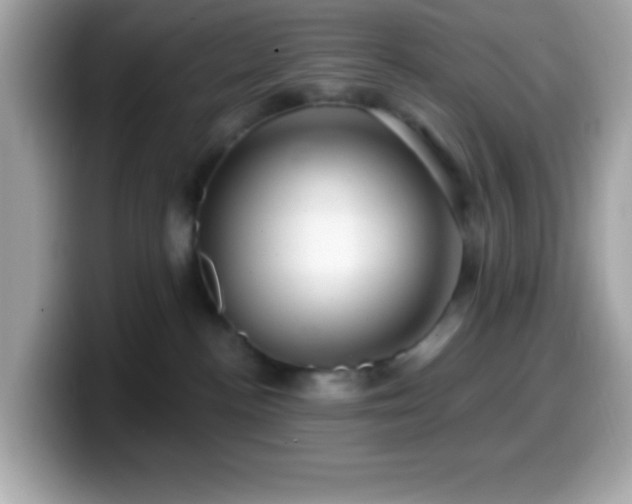 X0000099950188200805231329