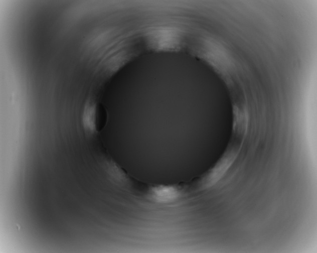 X0000099950189200805231329