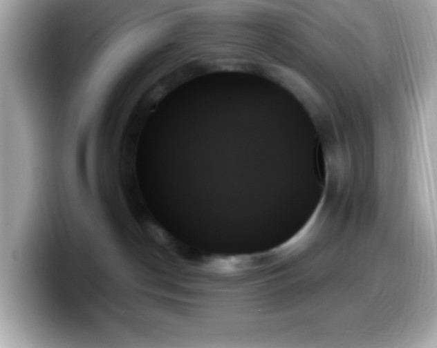 X0000099950190200805231329