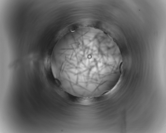 X0000099950191200805231329