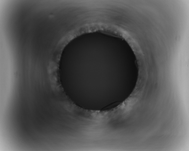 X0000099950192200805231329