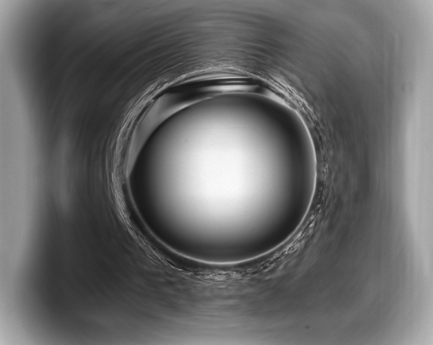 X0000099950193200805231328