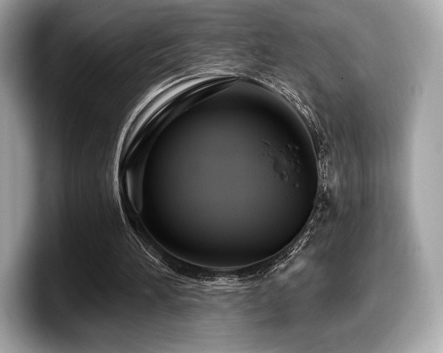 X0000099950196200805231328