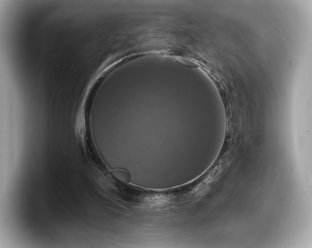 X0000099950198200805231328