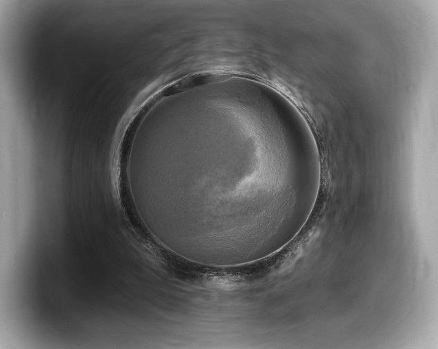 X0000099950199200805231328
