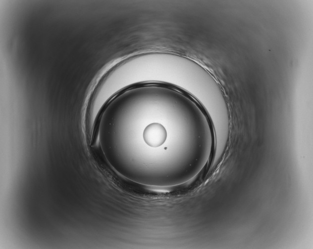 X0000099950200200805231328