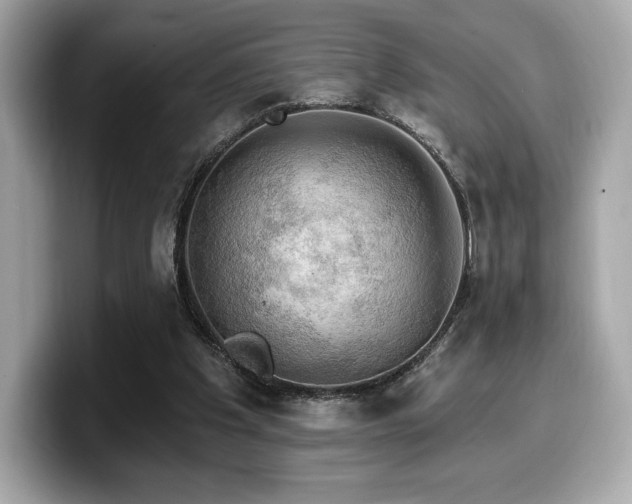 X0000099950201200805231328