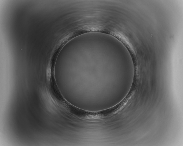 X0000099950202200805231328