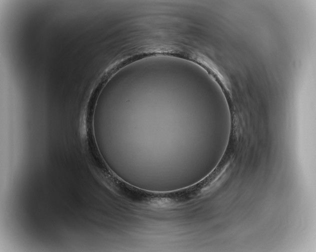 X0000099950203200805231328