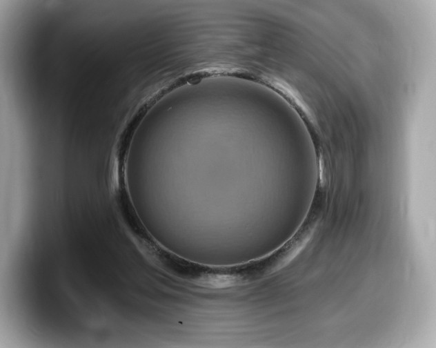 X0000099950205200805231328