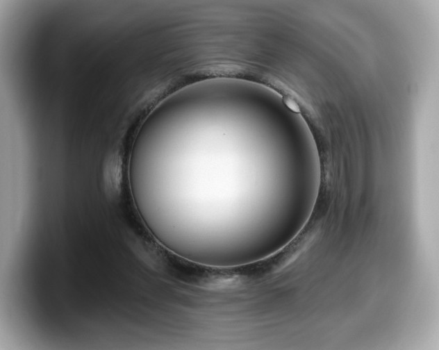 X0000099950206200805231328