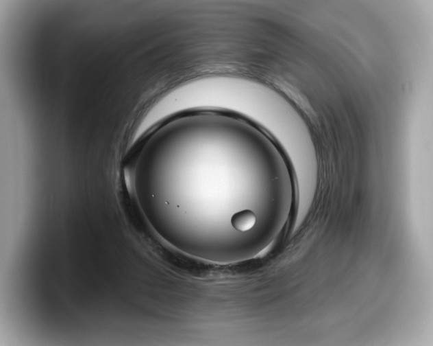 X0000099950207200805231328