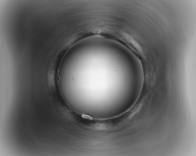 X0000099950209200805231328