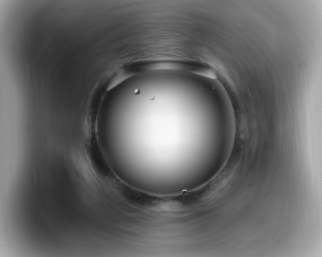 X0000099950210200805231328