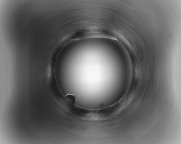 X0000099950211200805231328