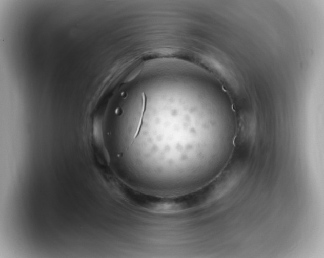 X0000099950212200805231328
