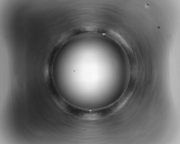 X0000099950213200805231328