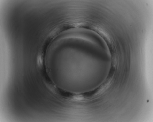 X0000099950214200805231328