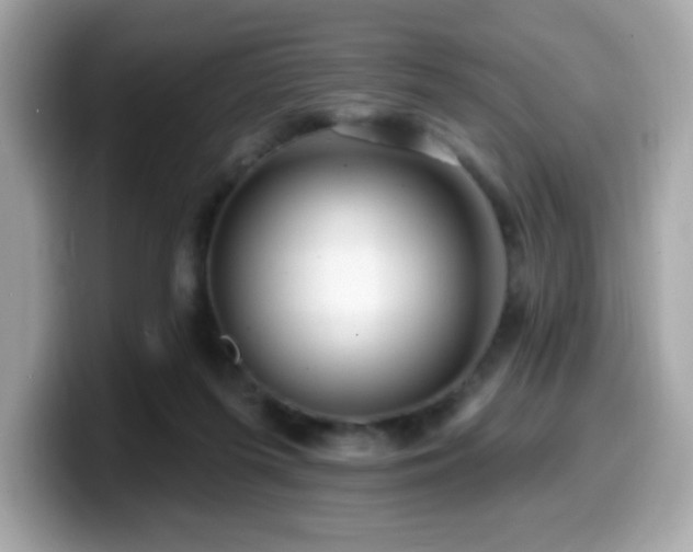 X0000099950215200805231328