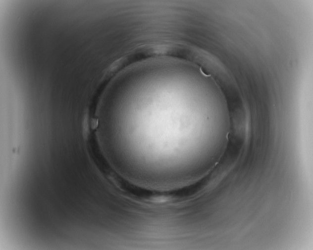 X0000099950216200805231328