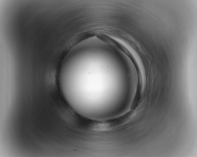 X0000099950217200805231328