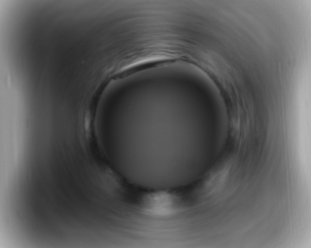 X0000099950219200805231328