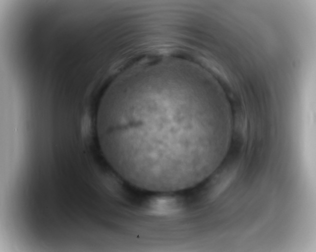 X0000099950220200805231328