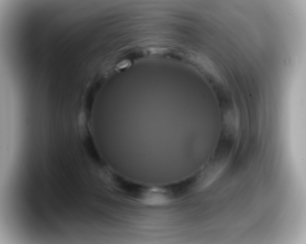 X0000099950222200805231328
