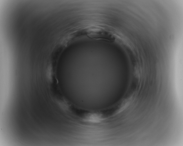 X0000099950223200805231328