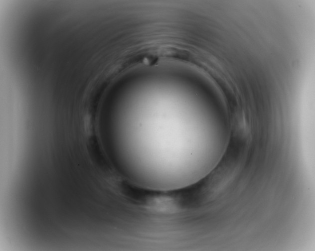 X0000099950224200805231328